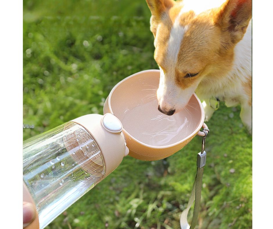 2-in-1 Pet Water Bottle and Food Container